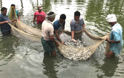 Problems and prospects of Industrial Aquaculture in India: An overview  