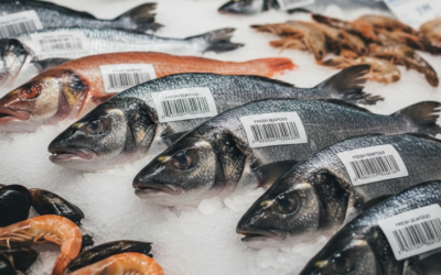 Implementation of Traceability in Seafood Exports