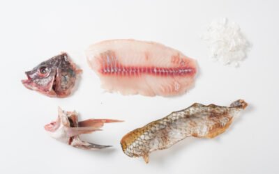 Turning trash into treasure: Innovative pathways for marine byproduct valorization